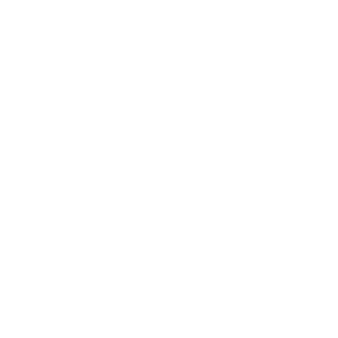 VIPER GAMING logo