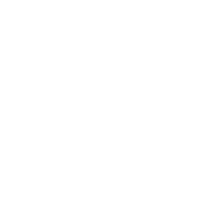 海霸王 logo